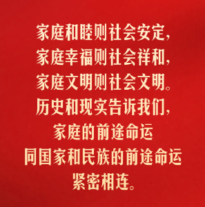 【团圆年】习言道｜把实现家庭梦融入民族梦之中