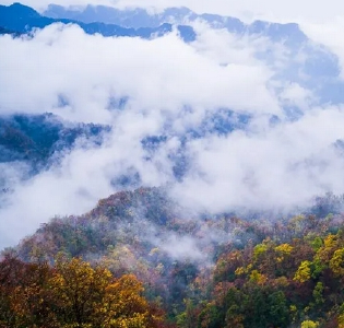 荆楚湖北：在新时代铺展中国式现代化宏图