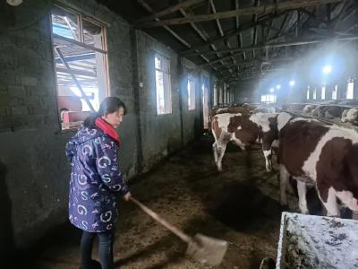 一个乡村女性关于“梦想”与“选择”的故事