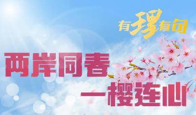 【有理有句】两岸同春，一樱连心