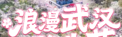 人潮如织，繁花如潮！“马”上赏樱，武汉迎来“樱花黄金周”