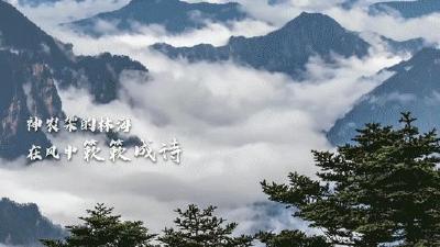 在长江文明创造性转化中书写“何以中国”的荆楚答卷