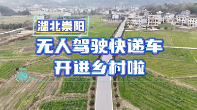 咸宁崇阳：无人驾驶快递车开进乡村