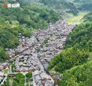 壹视界·微视频｜幸福生活，像花儿一样绽放