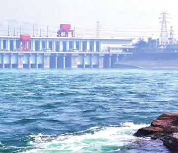 春天来了，到江边“看海”去！