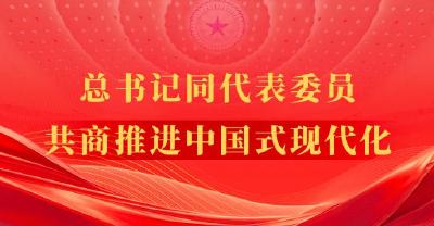 总书记同代表委员共商推进中国式现代化
