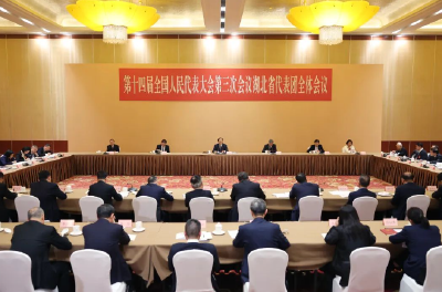 湖北代表团传达学习习近平总书记重要讲话精神 扛牢经济大省责任担当 王忠林主持并讲话