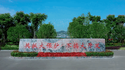 
万里长江沐春晖
