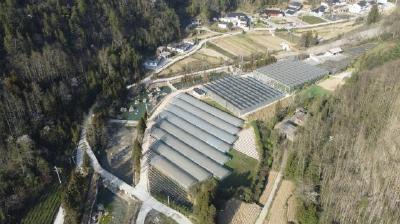 一路向阳一路歌 ——鹤峰县燕子镇全面聚焦产业发展