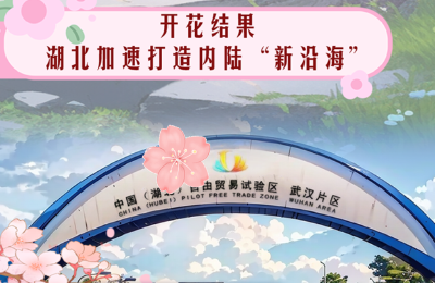 一朵樱花的春之约