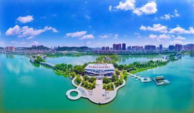 4年1400亿，黄石楚商归巢潮激活"归雁经济"