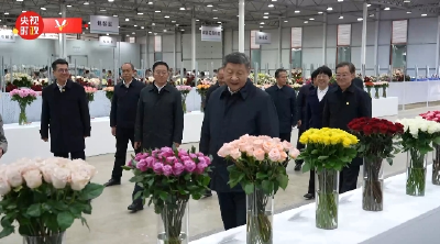 独家视频丨习近平在云南丽江市考察调研