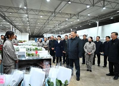 习近平在云南丽江市考察调研