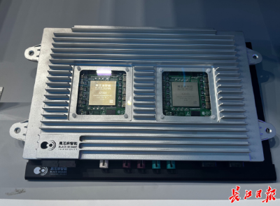 打造民营经济发展新高地，我们这样干