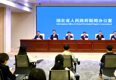 整体提升支点创新策源力 湖北怎么干？