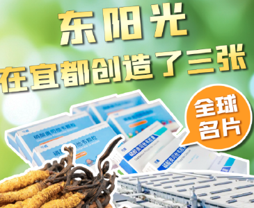 24年，投资240亿元！宜都东阳光“三驾马车”齐头并进的创新密码