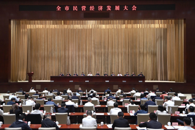 武汉首提“根企业”  推出重磅政策支持民营经济 