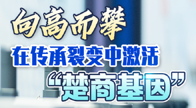向新而行！在时代风口锻造“湖北创新”
