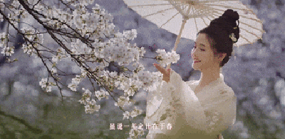 世界三大赏樱胜地之一！外交部又转了！