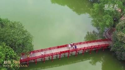 视频画报｜习近平主席东南亚三国之行难忘时刻