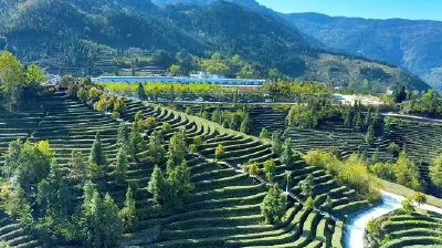 美丽中国我先行：巴东生态文明建设的立体答卷