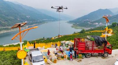 数智“新农人”化身乡村“兴农人”——宜昌农业玩转“新农具”逐梦沃野侧记