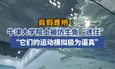 今天，这些湖北数字化教育里的“尖板眼”频频出圈！