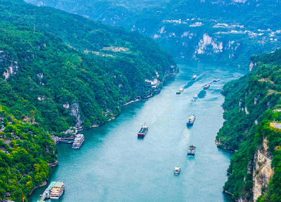 从休养生息到生生不息——长江禁渔五年观察