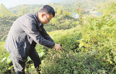 三个故事看黄冈人才链与产业链的“严丝合缝”