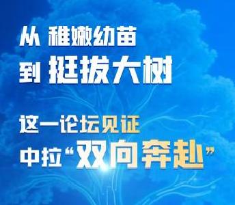 联播观察｜从稚嫩幼苗到挺拔大树，这一论坛见证中拉“双向奔赴”