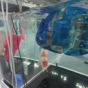 今天，这些湖北数字化教育里的“尖板眼”频频出圈！