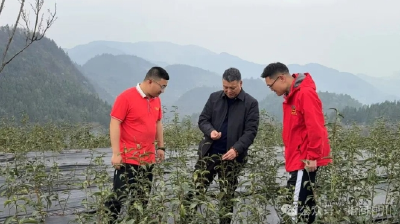 三位劳模三条产业链！利川用“劳模精神”赋能乡村振兴