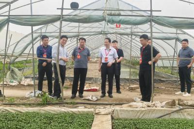 “代表智库”链动三产革新 ——看嘉鱼人大代表如何用履职密码撬动县域产业倍增