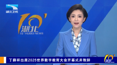 丁薛祥出席2025世界数字教育大会开幕式并致辞