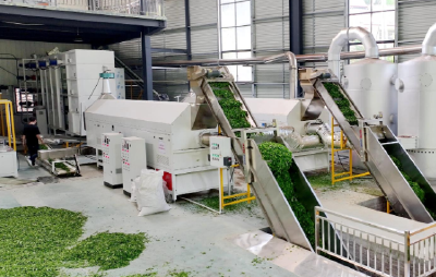 湖北宜都：智能产线为茶产业赋能