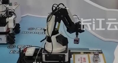 仿生机器鱼、VR教学系统……外国嘉宾点赞中国高等教育数字化转型成果