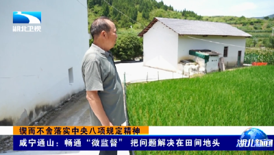 锲而不舍落实中央八项规定精神丨咸宁通山：畅通“微监督” 把问题解决在田间地头