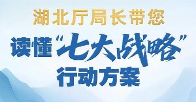 收藏丨“七大战略”行动方案厅局长访谈视频集锦来了！