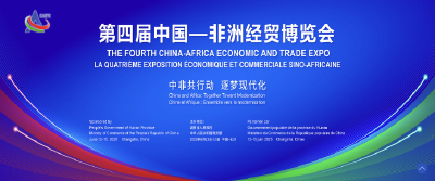 这次国际性展会，湖北又又又又担任主宾省