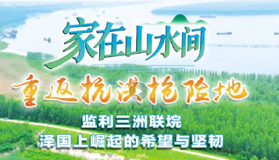 监利三洲联垸：泽国上崛起的希望与坚韧