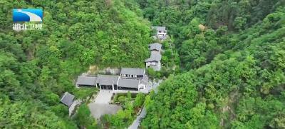 锲而不舍落实中央八项规定精神丨襄阳保康：一企一策解难题 以学习教育成效促发展