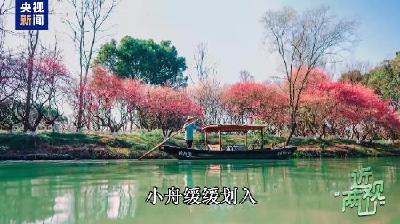 近观“两山”丨西溪往事