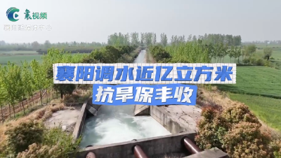 端稳“百亿粮仓”铁饭碗：襄阳抗旱保粮的智慧与坚守！