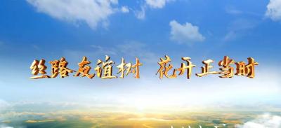 大道之行丨丝路友谊树 花开正当时