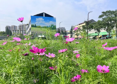 潜江：遇见“方寸”之美