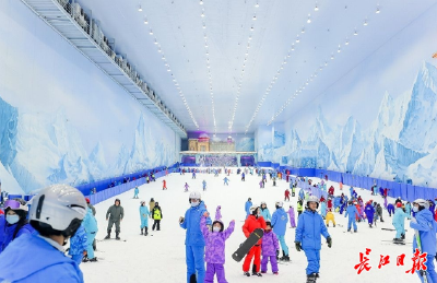 上半年CPI解码武汉经济韧性，“活力经济”点燃发展新引擎