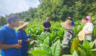 129名特派员破解200项技术难题——长阳科技赋能农业助农增收记