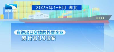 湖北上半年进出口规模首次突破4000亿元