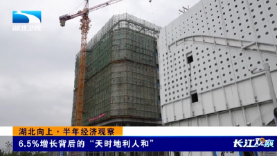 湖北向上·半年经济观察 | 6.5%增长背后的“天时地利人和”