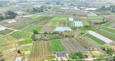 首衡城联农助农：12万亩农田的增收密码，藏着乡村振兴的“孝南答案”